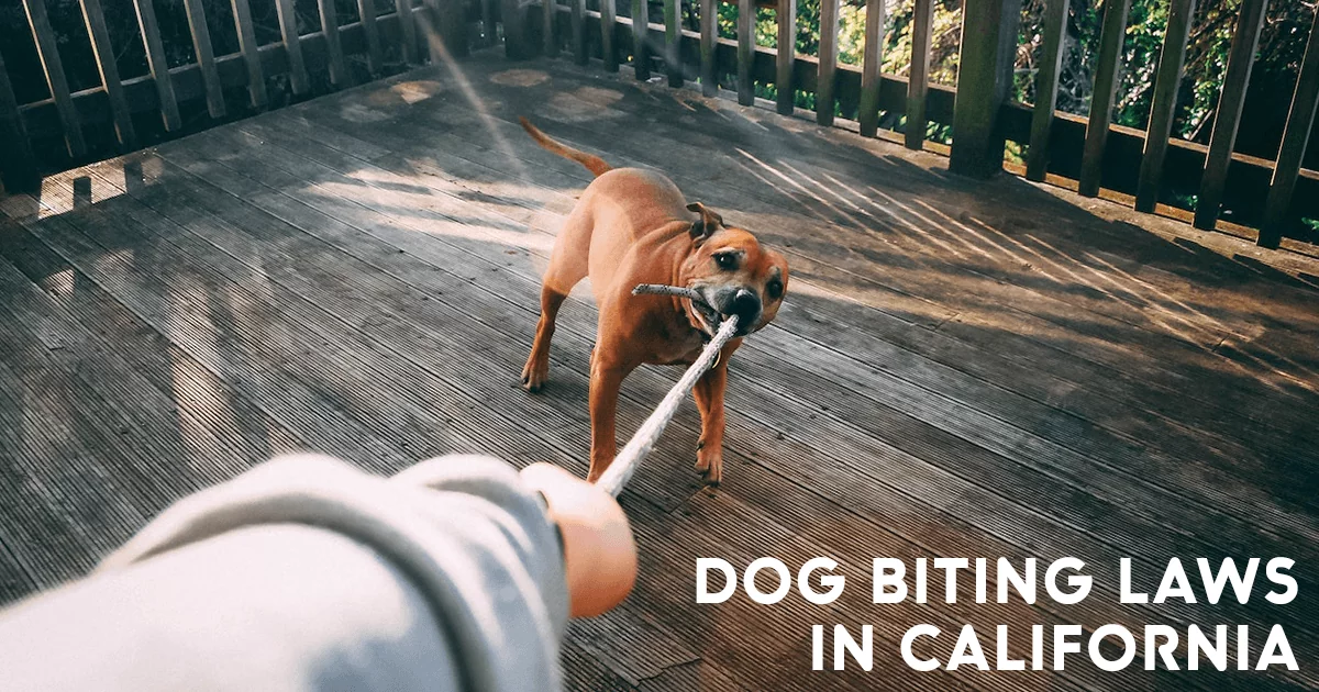 dog biting laws in california
